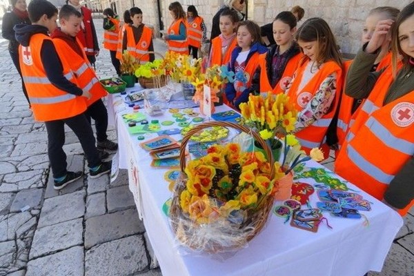 Hvar - Cvijetom narcisa protiv raka dojke